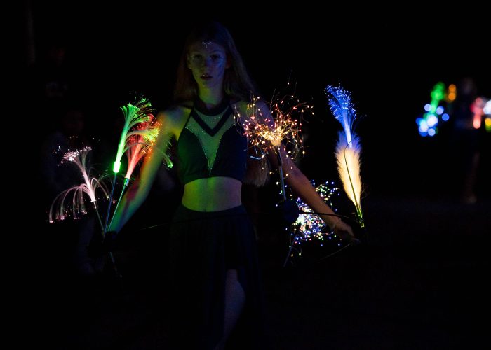Anima Motrix
