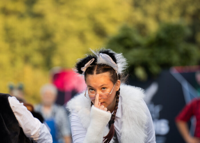 Arka Noe-Go! Teatr uliczny