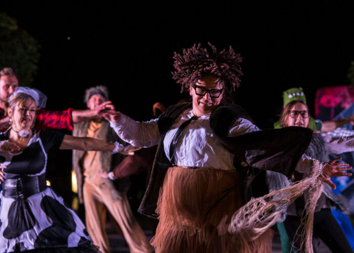 Arka Noe-Go! Teatr uliczny