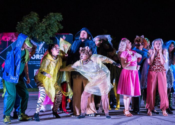 Arka Noe-Go! Teatr uliczny